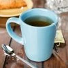 World Tableware FH-517H Farmhouse 12 Oz. Blue Hen Porcelain Mug - 36/Case