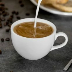 Tuxton AMU-087 Modena AlumaTux Pearl White (European White) 10 Oz. China Round Cup - 24/Case