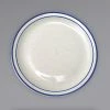 International Tableware DA-9 Danube 9 1/2" Ivory (American White) Blue Speckled Narrow Rim Stoneware Plate With Blue Bands - 24/Case