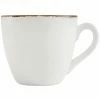 Fortessa Tableware Solutions Fortessa Salt TechnoCeram 3 Oz. Bright White China Espresso Cup With Earth Hue Rim - 24/Case