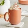 Sample - Acopa Pangea 12 Oz. Terra Cotta Matte Porcelain Mug