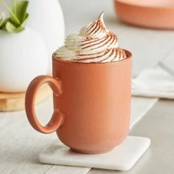 Sample - Acopa Pangea 12 Oz. Terra Cotta Matte Porcelain Mug