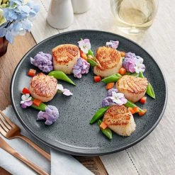 Acopa Embers 9 1/2" Midnight Blue Matte Coupe Stoneware Plate - 12/Case